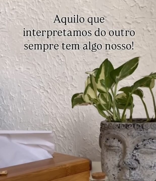 Ambiente de consultório com planta e vaso — post 'Aquilo que interpretamos do outro sempre tem algo nosso'
